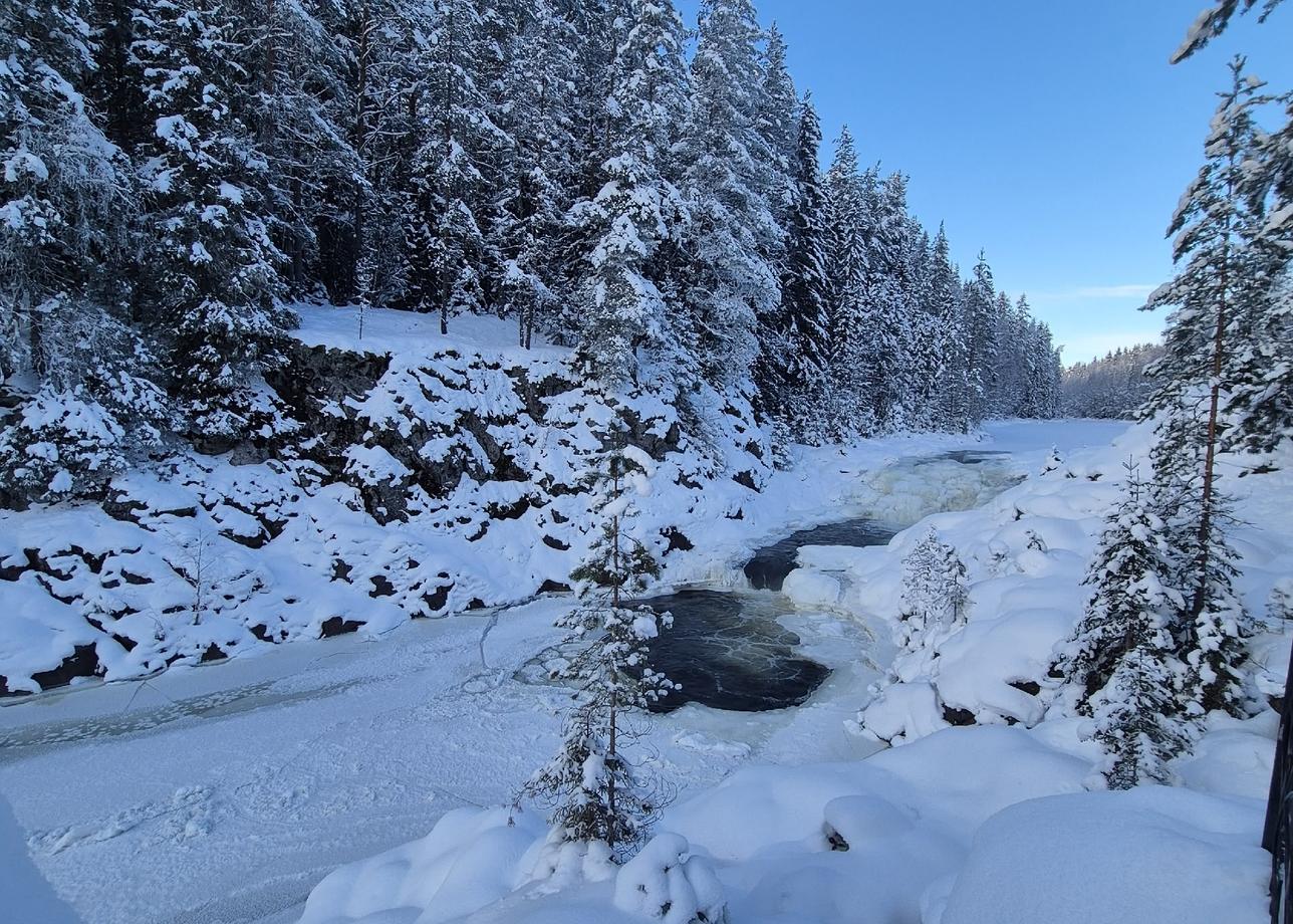 Тур волшебный! Попали в снежную сказку и не пожалели. Не смотря на лютый мороз получили массу
