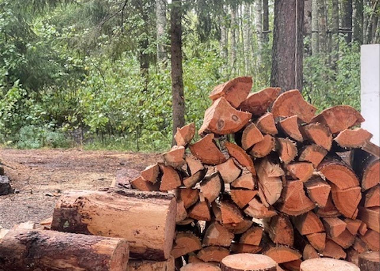 Благодарна за организацию такого вида активного отдыха, всё продумано до мелочей, так как это был мой