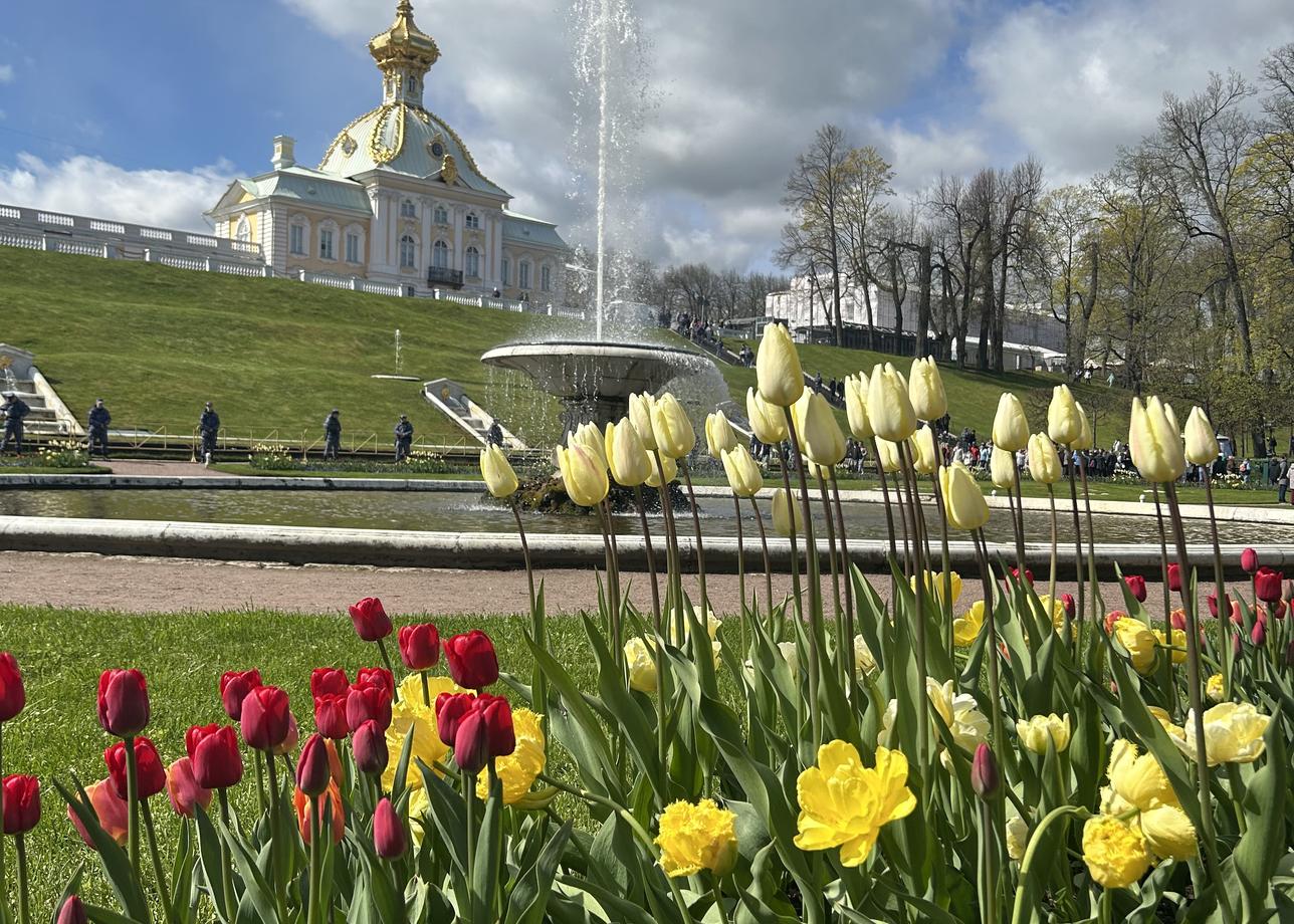 Тур просто супер! Красота города поражает😍 Насыщенная и познавательная программа, гид профессионал своего дела, которая знает