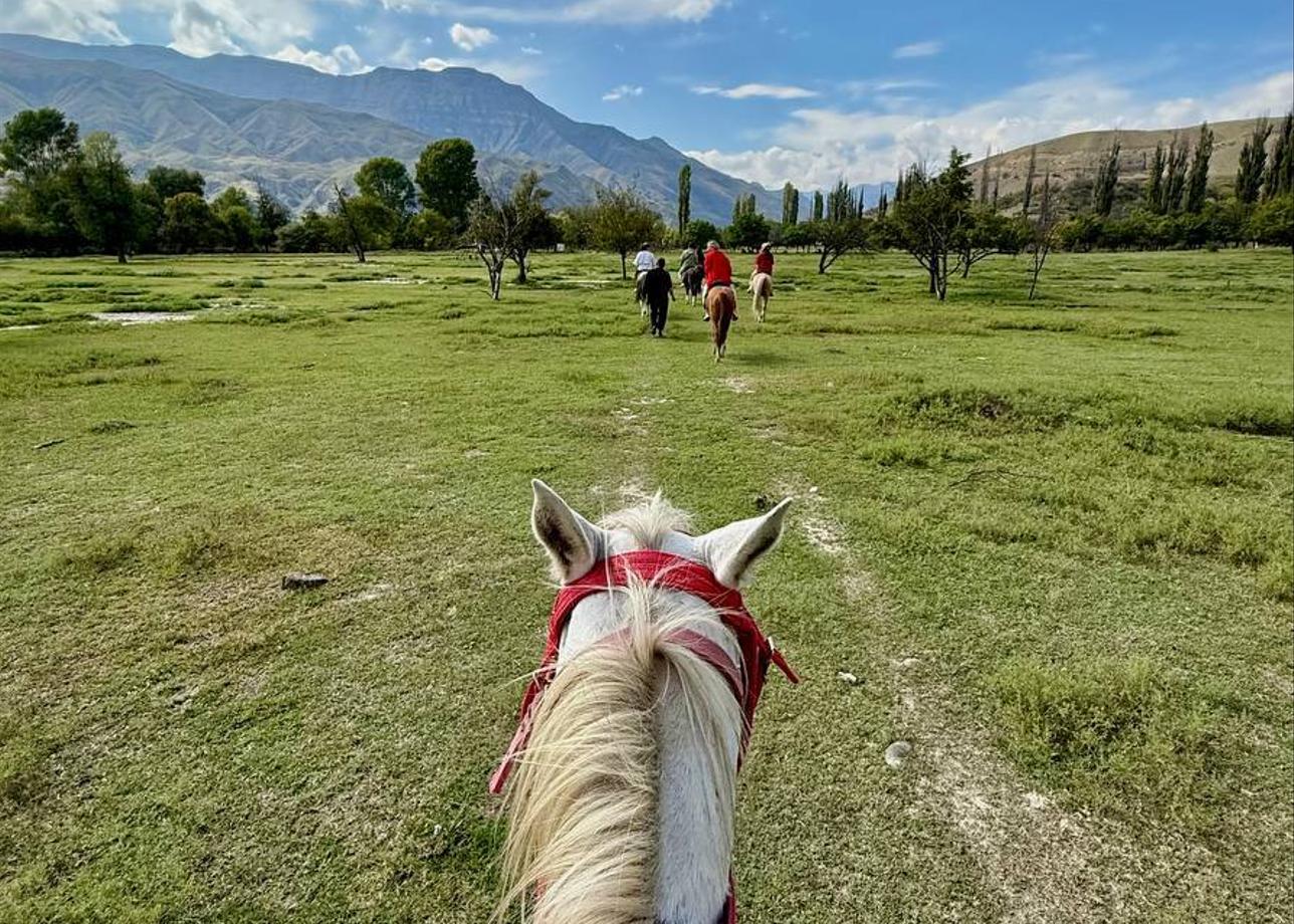 Добрый день!