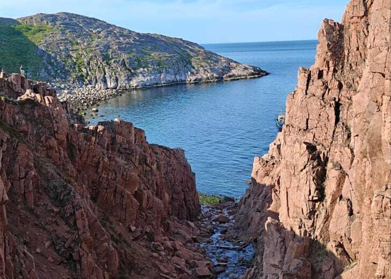 Всё было очень здорово! Это полный восторг! Организация, атмосфера, очень насыщенная программа! Видели морских животных тюленей