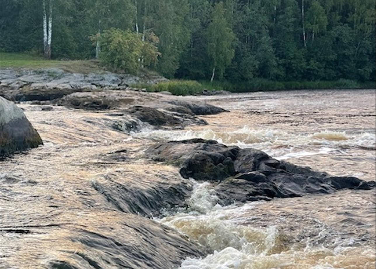 Благодарна за организацию такого вида активного отдыха, всё продумано до мелочей, так как это был мой