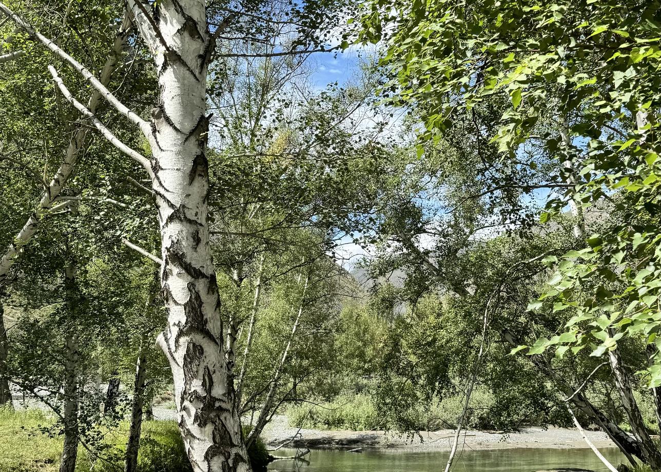 Потрясающий тур, разнообразный и увлекательный. Круговой маршрут с возвращением в горноалтайск.