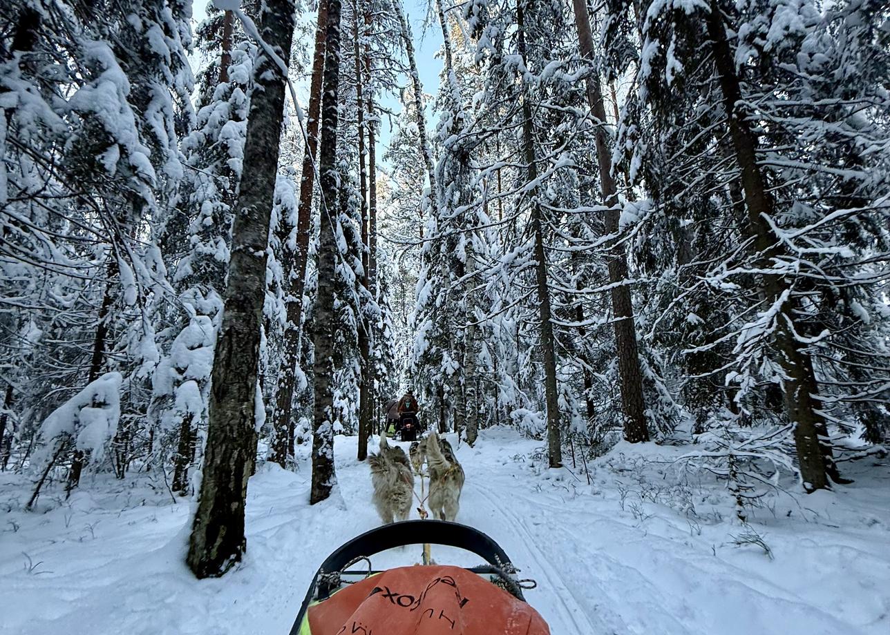 Это было действительно путешествие в зимнюю сказку! Очень живописная природа, много белого чистого снега, чистый морозный