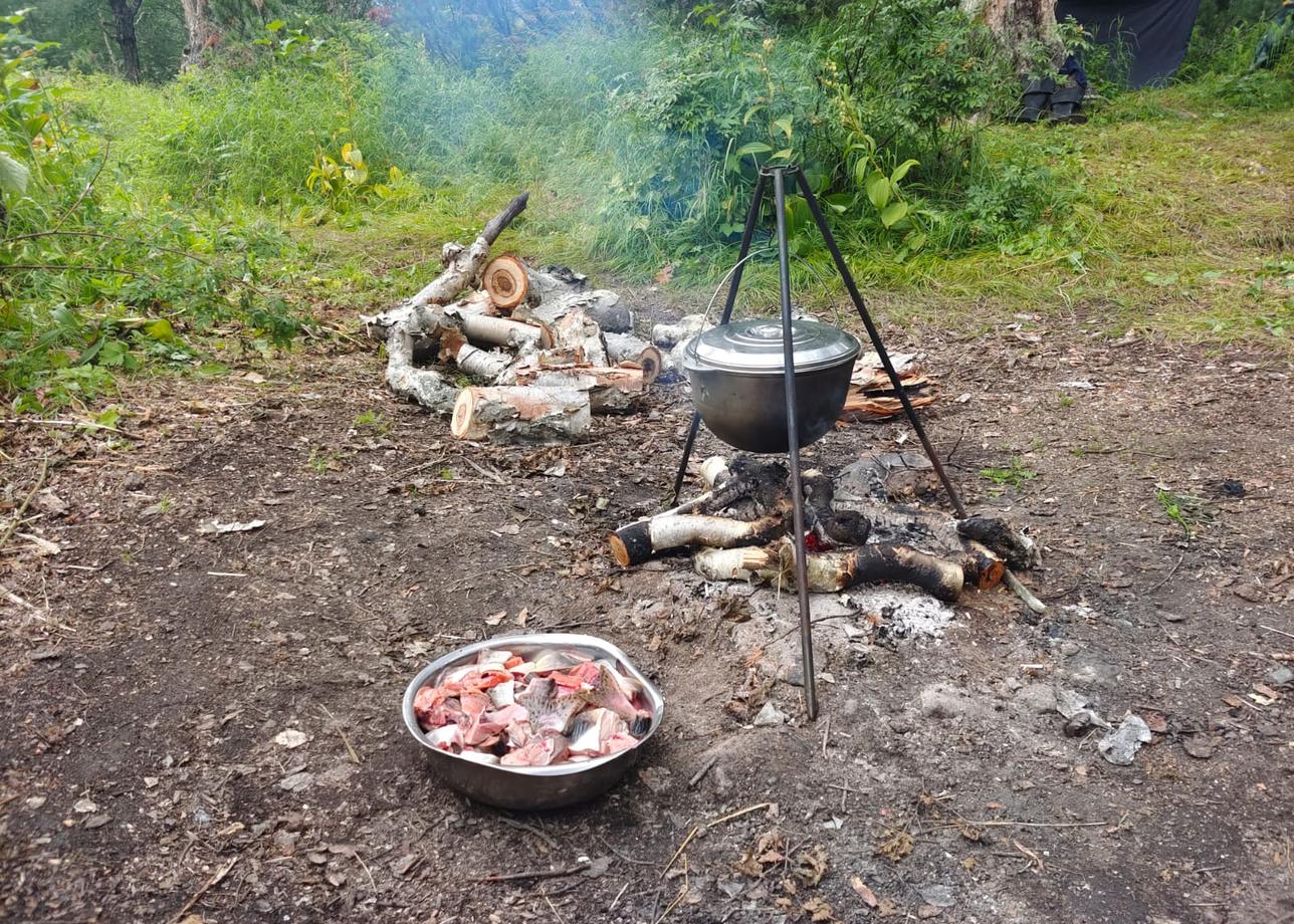 Очень крутой, насыщенный тур, разнообразный, позволяющий посмотреть Камчатку с разных сторон: сплав, вулканы, океан, животные… После