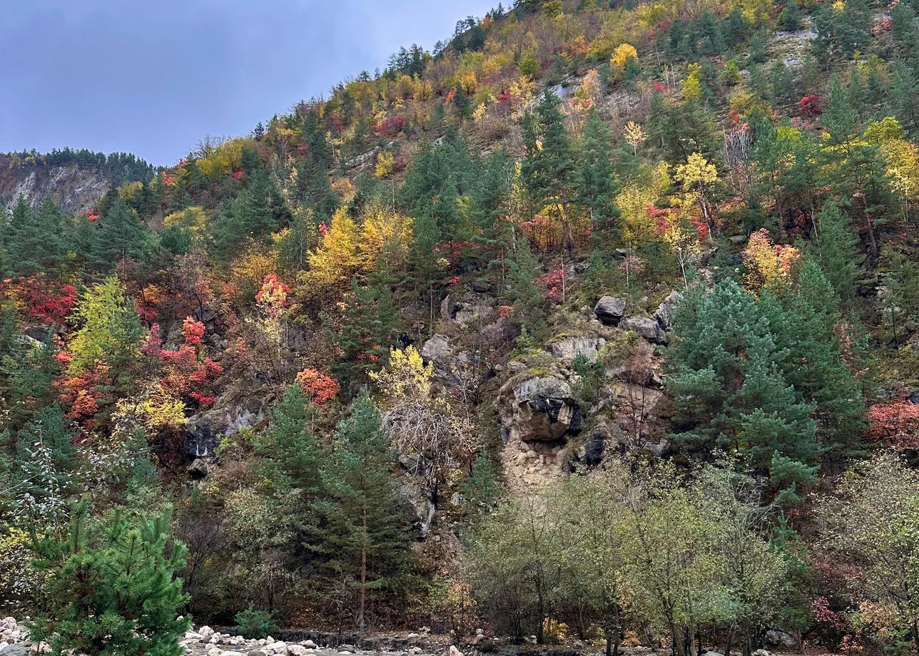 Огромное спасибо нашему гиду Умару и водителю Эльхану, супер профессионалы своего дела!!!