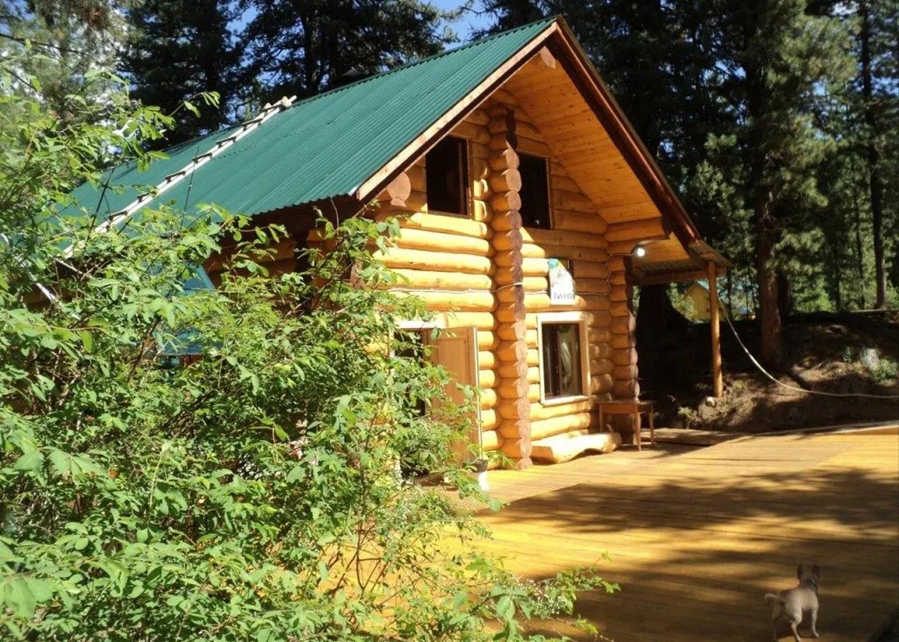 Снежный барс