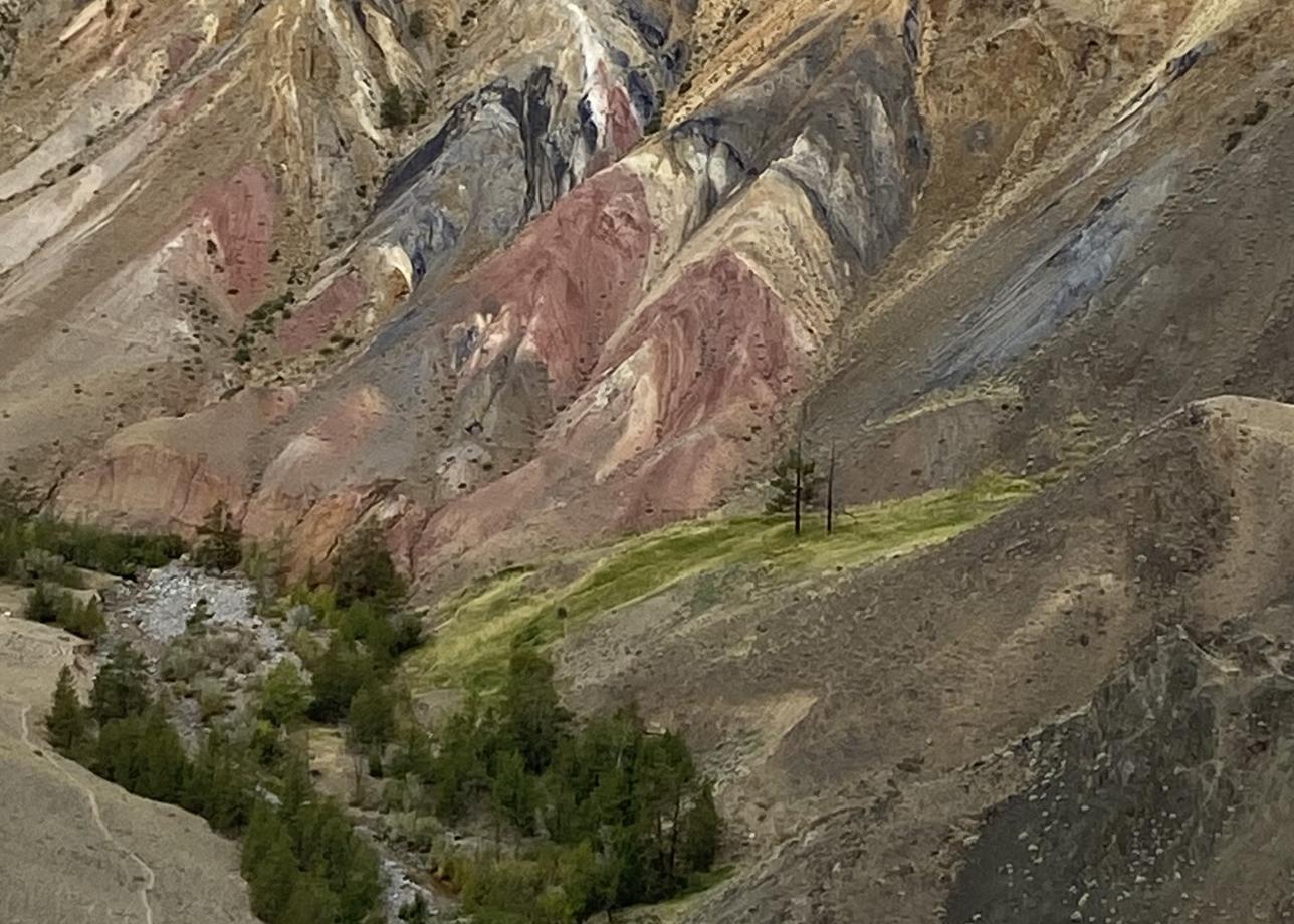 Интересные и насыщенные 2 дня тура. Мы влюбились в Алтай, его природу, красивейшие горы и пейзажи