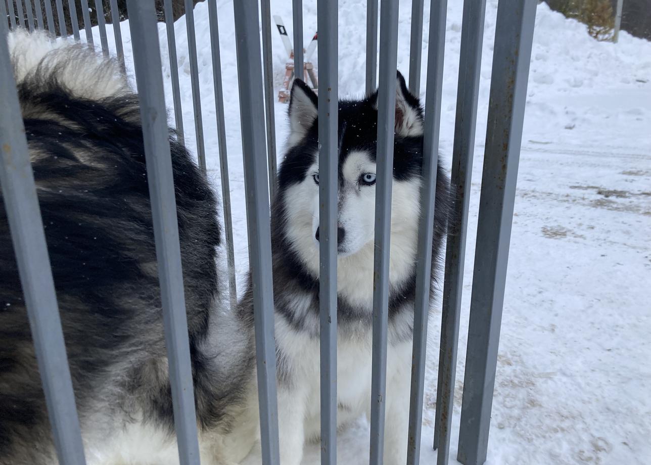 Я в восторге, просто сказка, при первой возможности приеду еще раз.