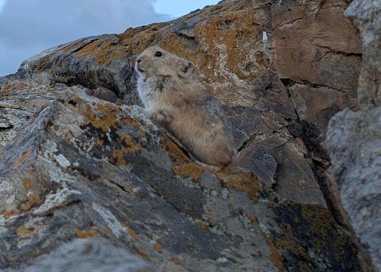 О Алтай, потрясающая природа и незабываемые рассветы и закаты среди горных пейзажей. Хочется выразить огромную благодарность