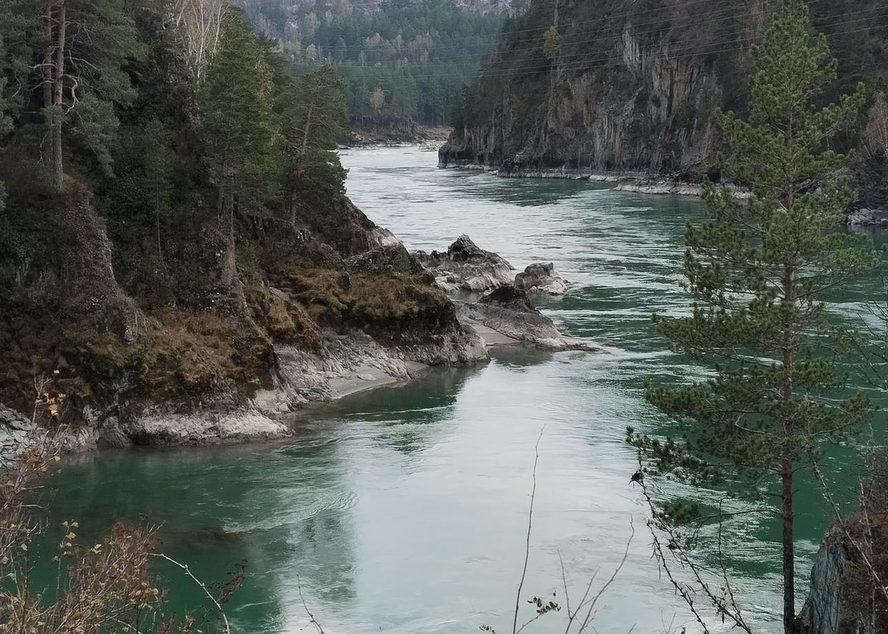 Превосходные гиды принимающей стороны. Отдельное спасибо Марине, всё время была рядом, на любые вопросы есть ответ,