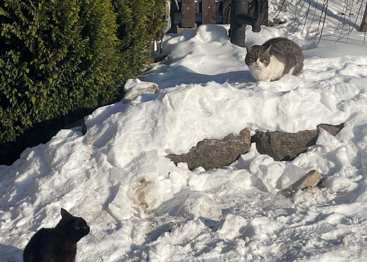 Я первый раз была в Калининградской области и ни о чём не пожалела. Было очень интересно