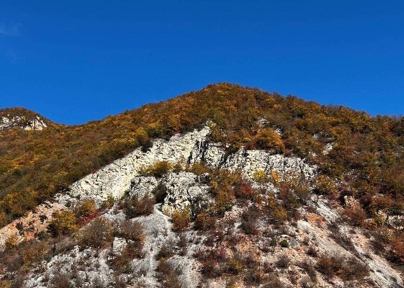 Организация тура замечательная, всего в меру, дни были не перегружены, оставалось время для прогулок и самостоятельного