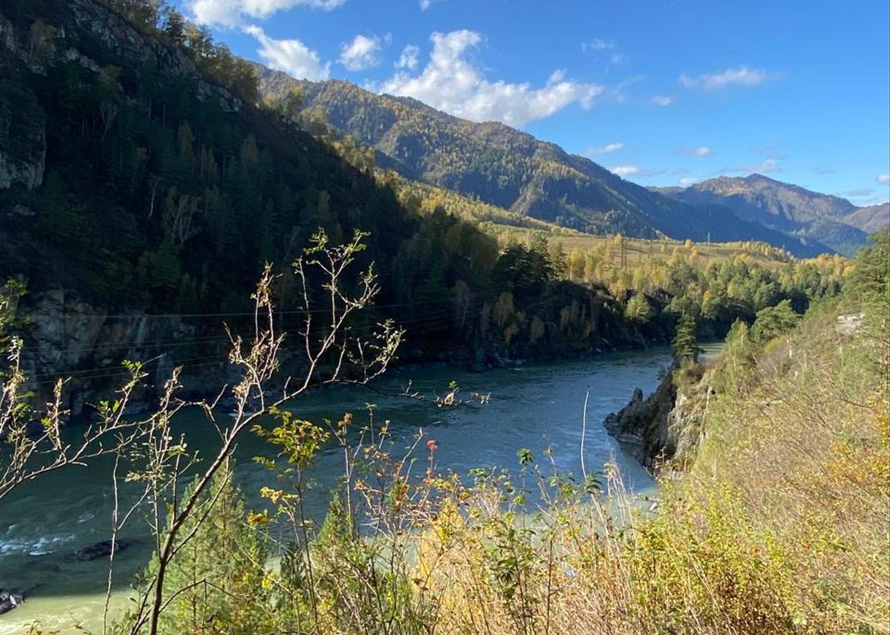 На высшем уровне!