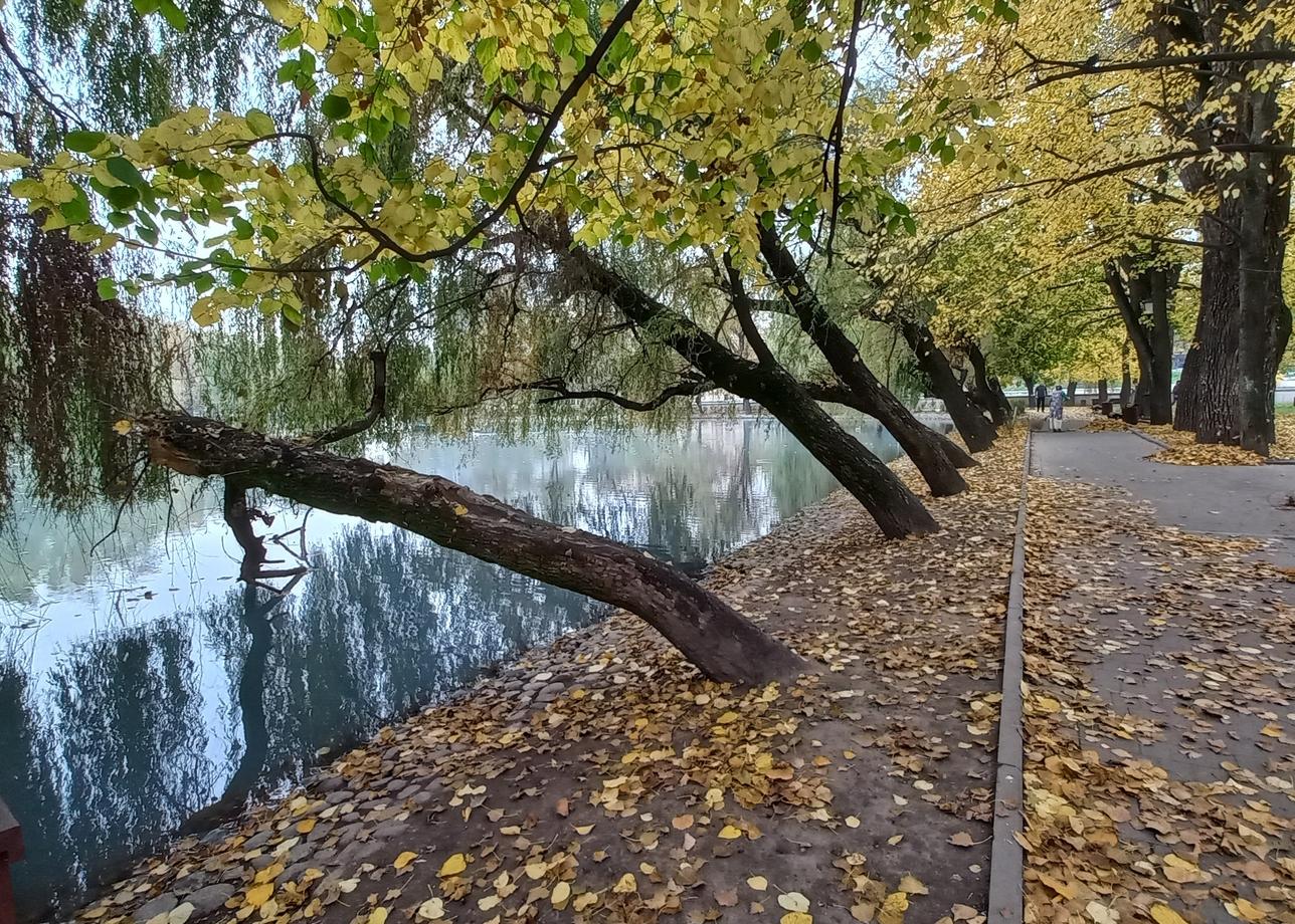 Отличная организация! Езжу на Кавказ не первый раз от этой компании. Даже удивительно, что наши люди