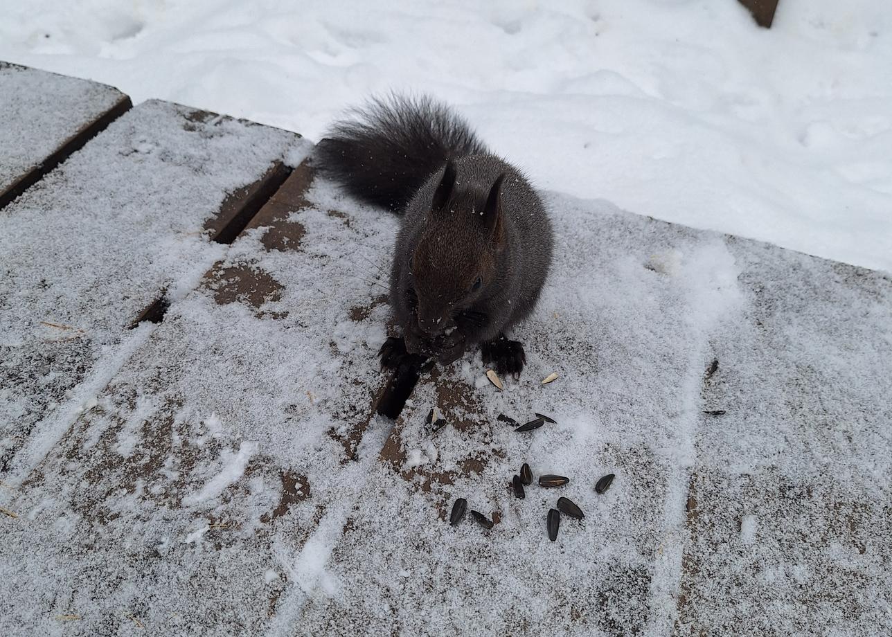Море впечатлений и эмоций от тура, Байкал меня поразил, это то место куда нужно обязательно съездить