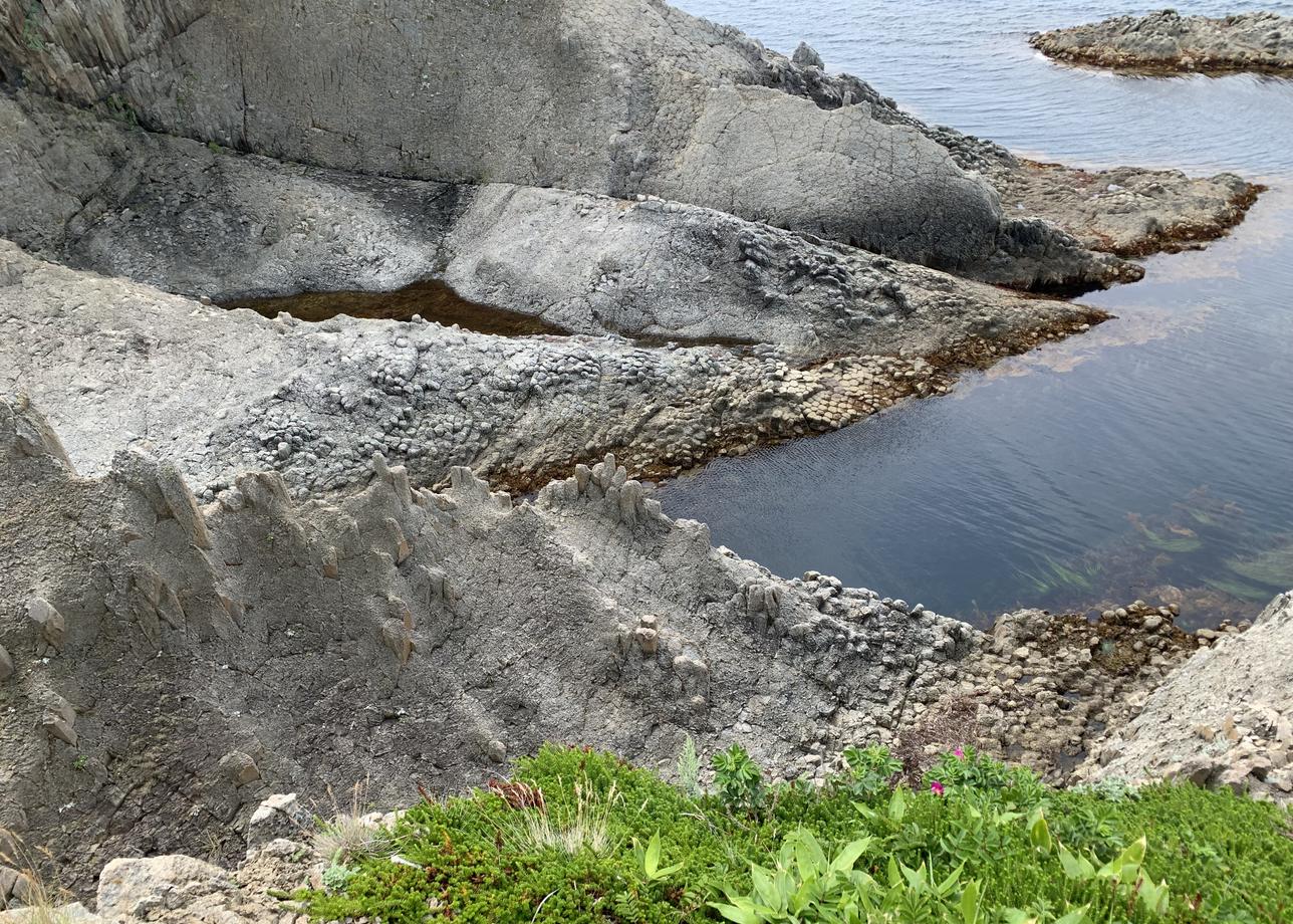 Очень интересный и познавательный тур. Красота природы завораживает! Впечатления незабываемые на всю жизнь!!!