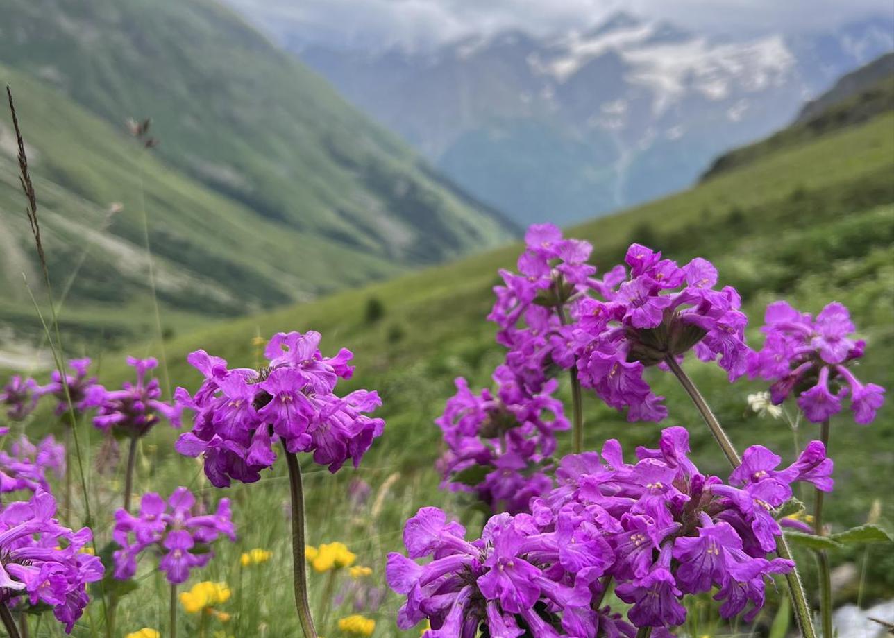 Детское Приэльбрусье