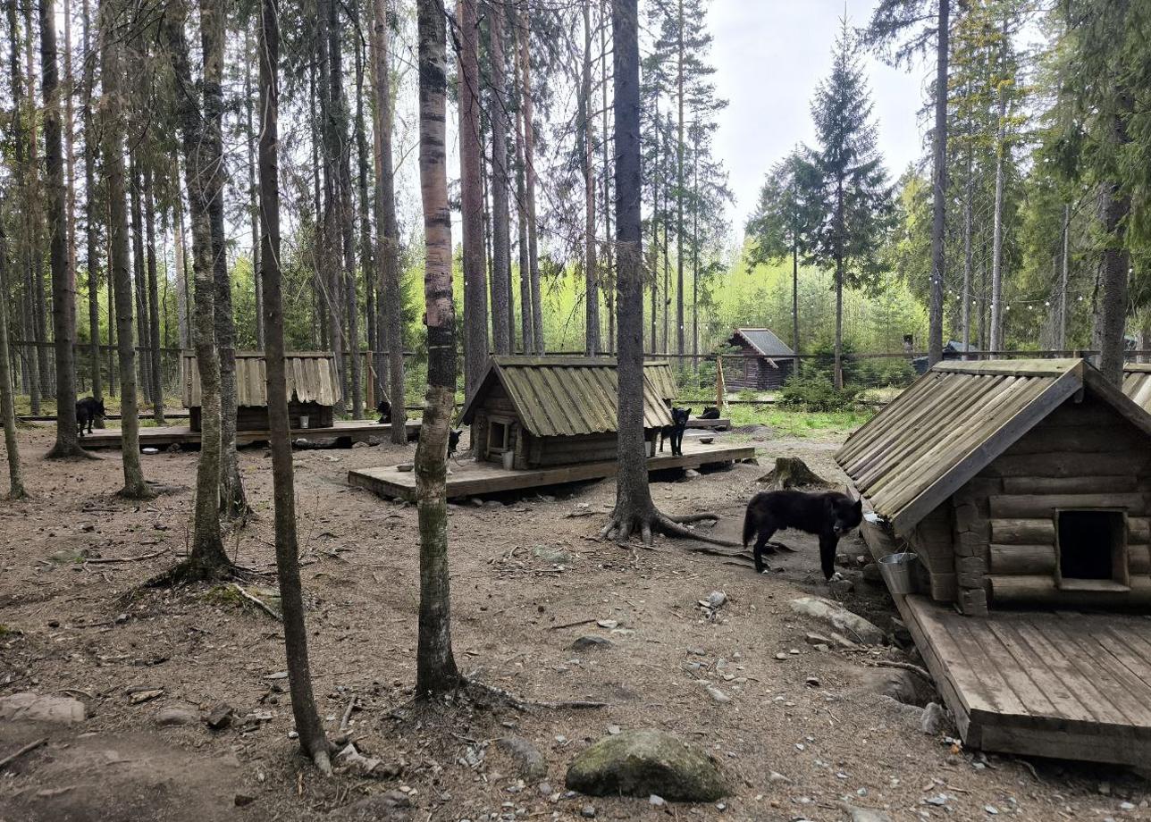 Тур был организован хорошо, все прошло так как и было запланировано.