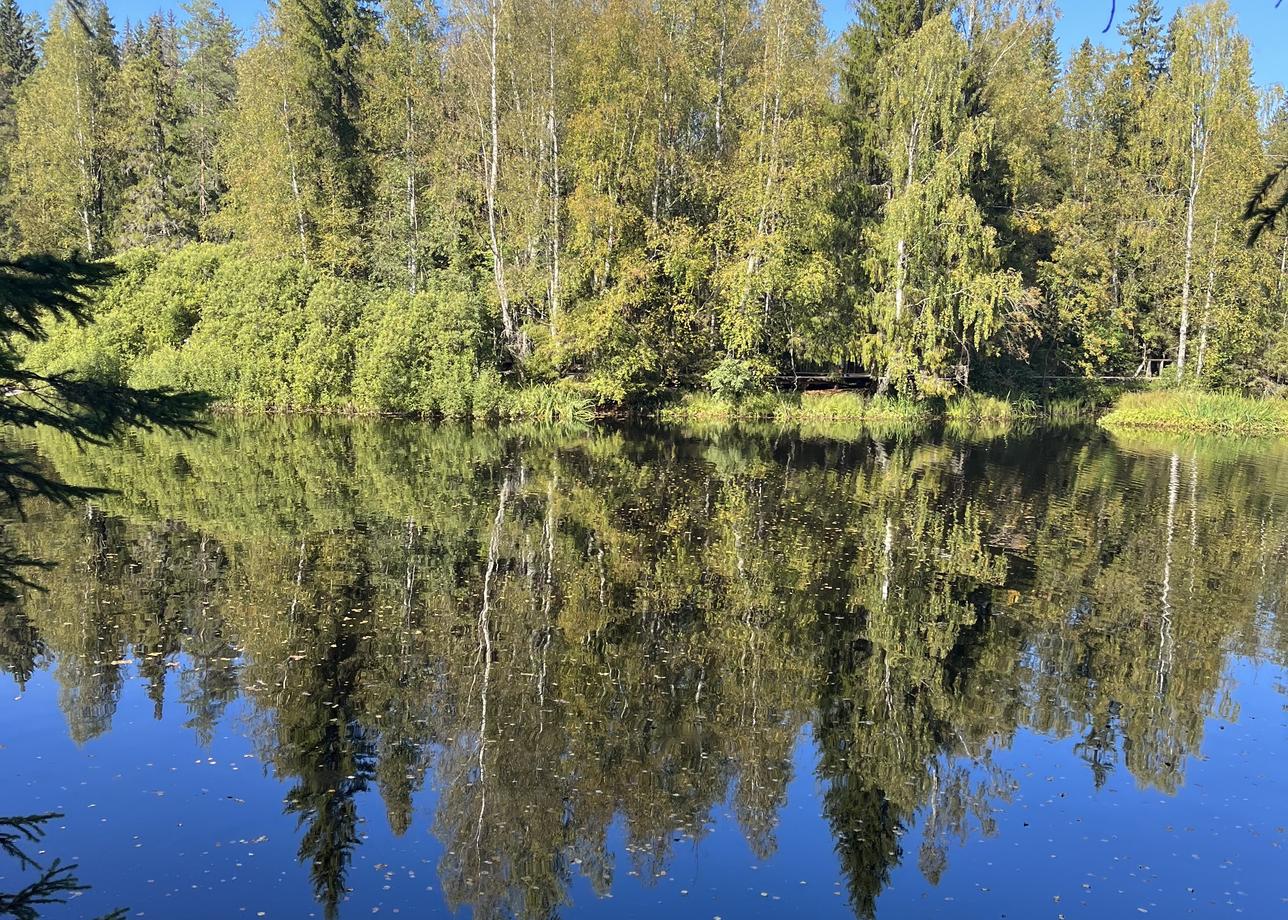 Прекрасный трехдневный тур, очень насыщенный и интересный. Идеально подходит для первой поездки в Карелию. Очень повезло
