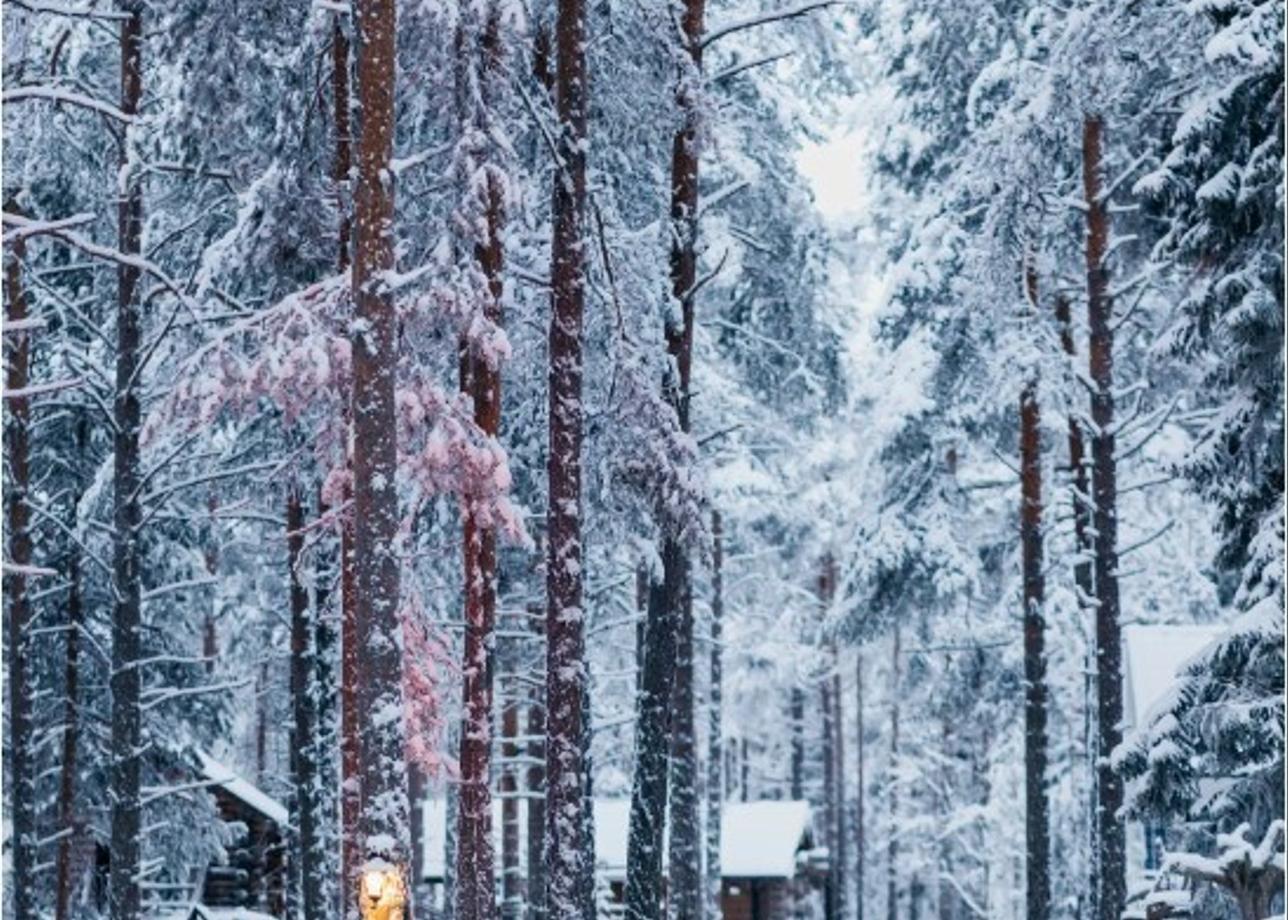 Добрый день! Очень долго выбирала зимний тур в Карелию (программы разные). Новогодние праздники 2026 года были