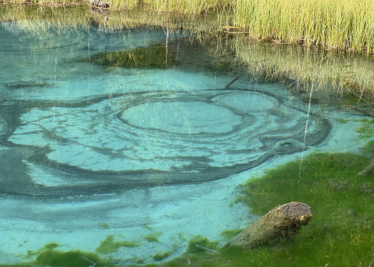 Впечатлений море! Тур замечательный! Программа составлена правильно, первые дни немного лайтово, потом активно, с бурями эмоций!