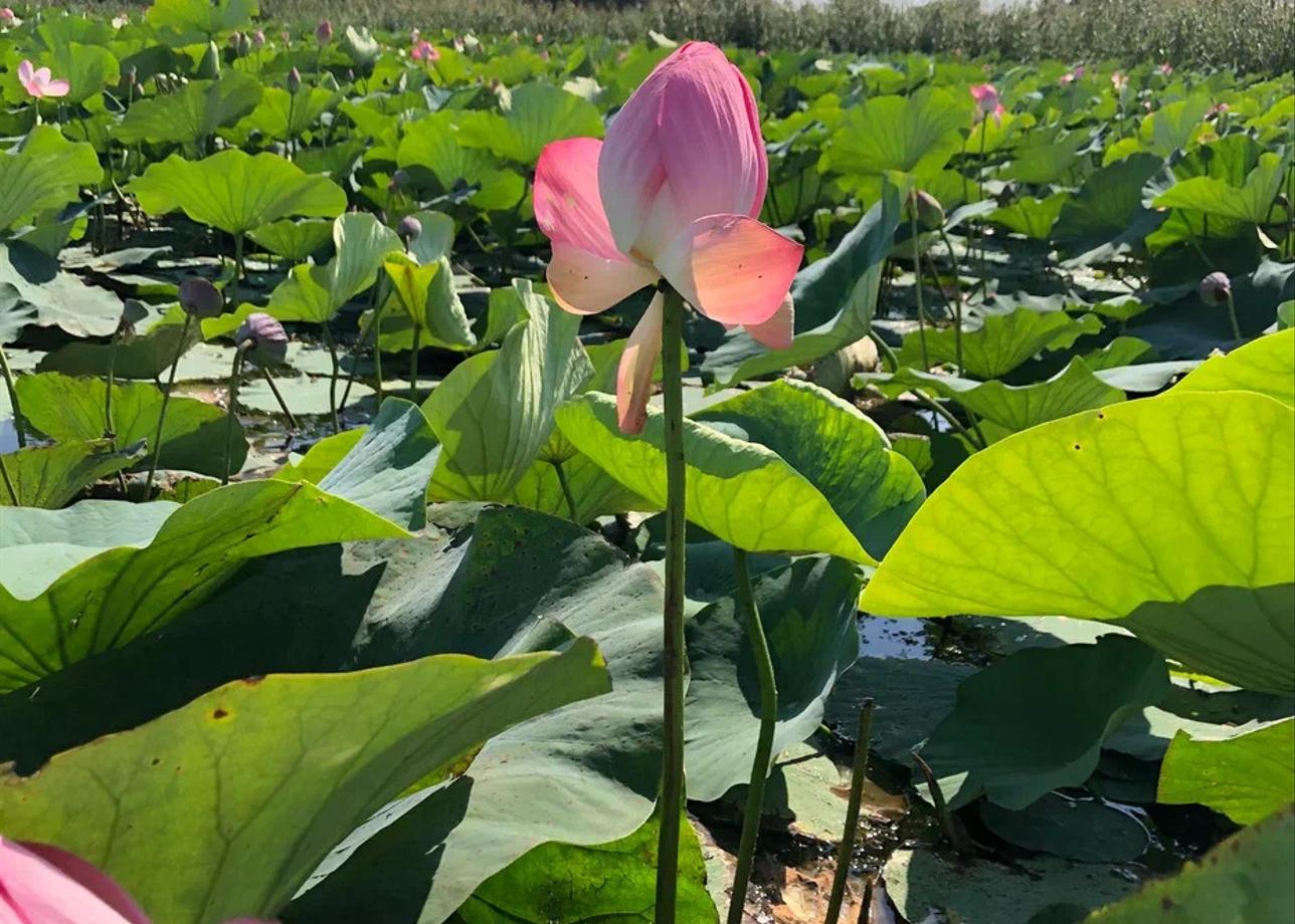 Тур "Степной треугольник" был организован безупречно! Насыщенная и интересная программа, профессиональные гиды, четкий тайминг, отличное транспортное