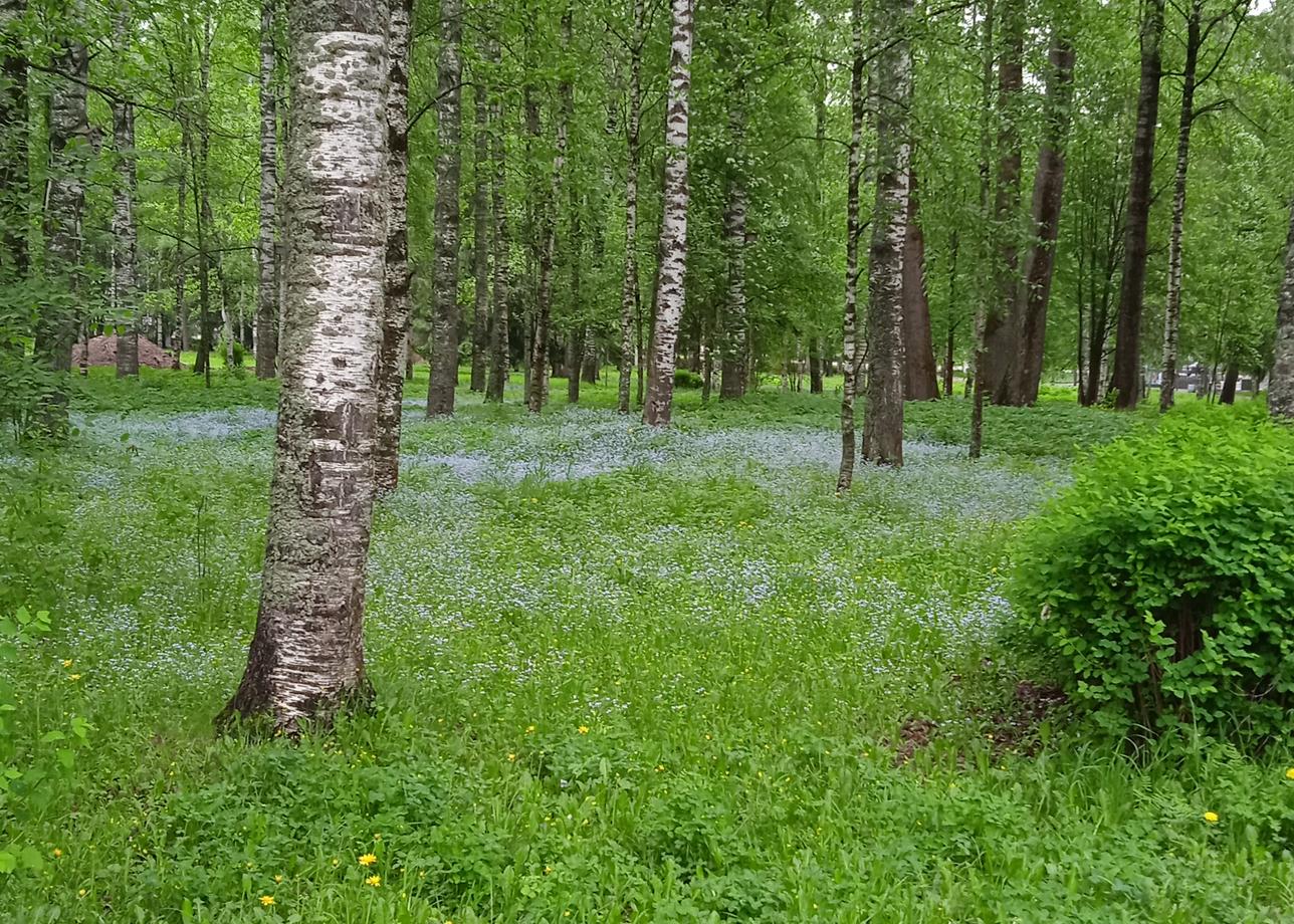 Спа- тур оказался очень вовремя, такой отдых рекомендую всем. Недели достаточно для того, чтобы сделать перезагрузку