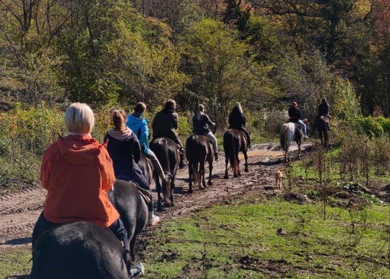 Организаторам великое уважение и благодарность!