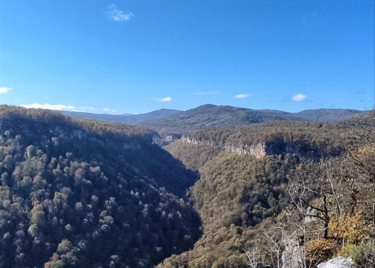 Организаторам великое уважение и благодарность!