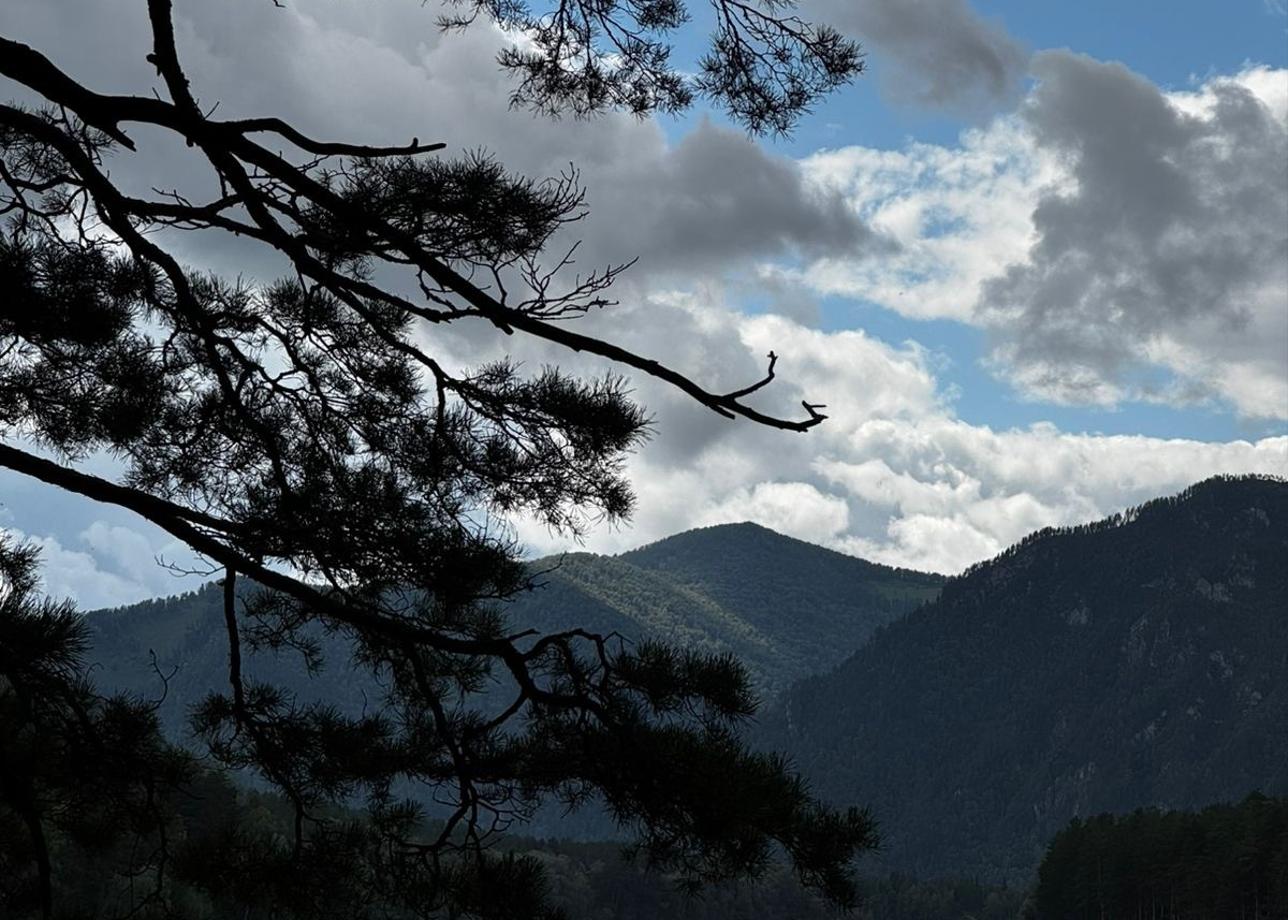 Впечатлений море! Тур замечательный! Программа составлена правильно, первые дни немного лайтово, потом активно, с бурями эмоций!