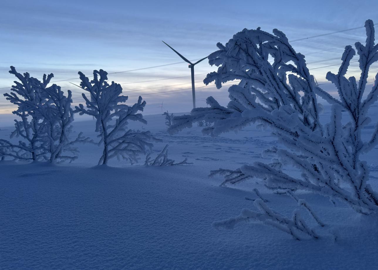 Очень понравилась поездка по Кольскому пол-ву! Повезло во всем: и с погодой, и с северным сиянием