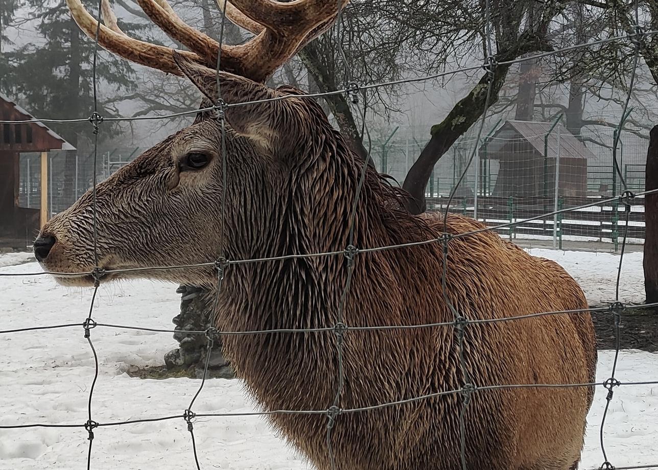 Очень понравился рождественский тур в Адыгею! Мы посетили большое количество мест за несколько дней, во многих