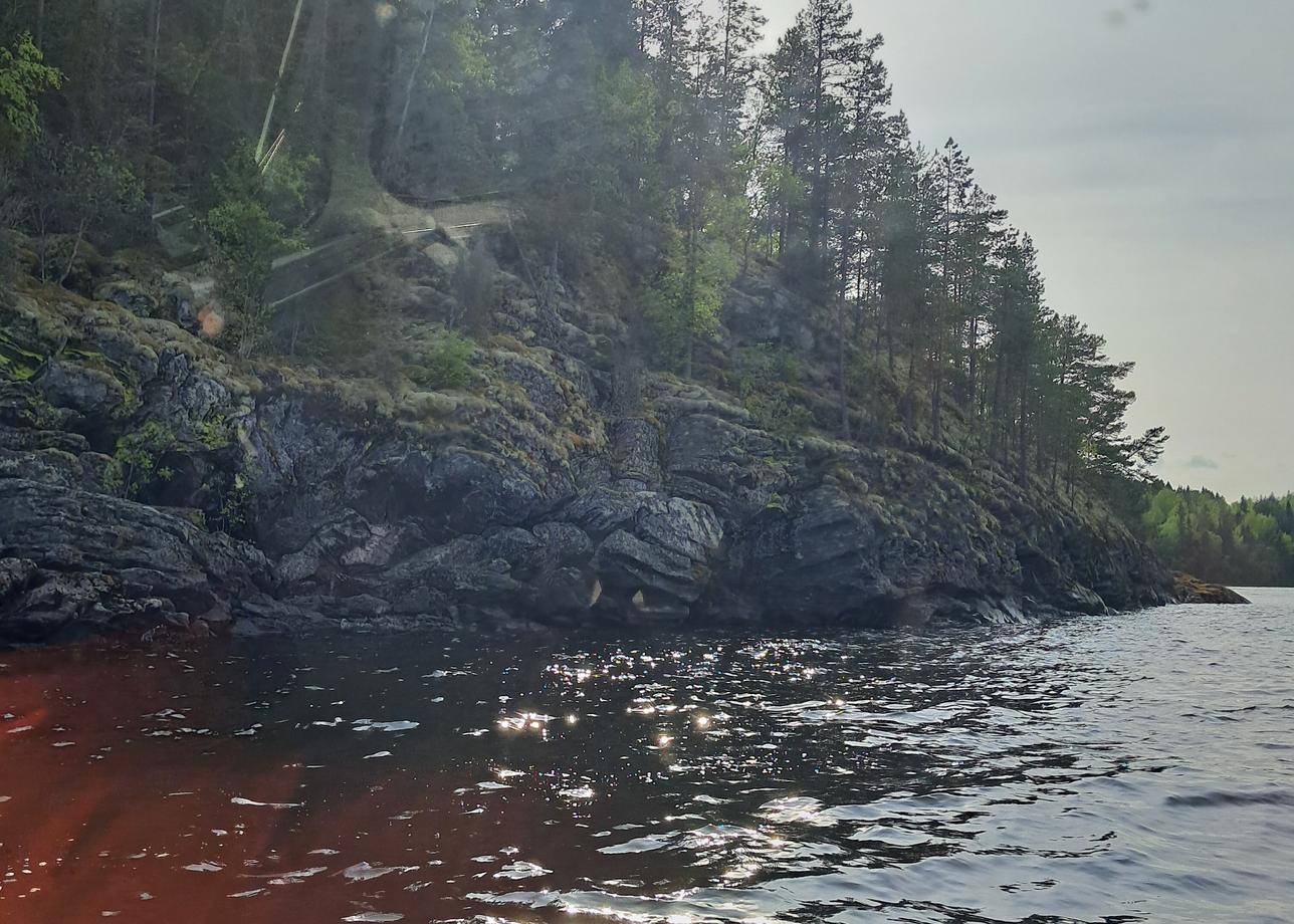 Организованно все было хорошо. Нас встретили на вокзале, отвели на завтрак в первый день и затем