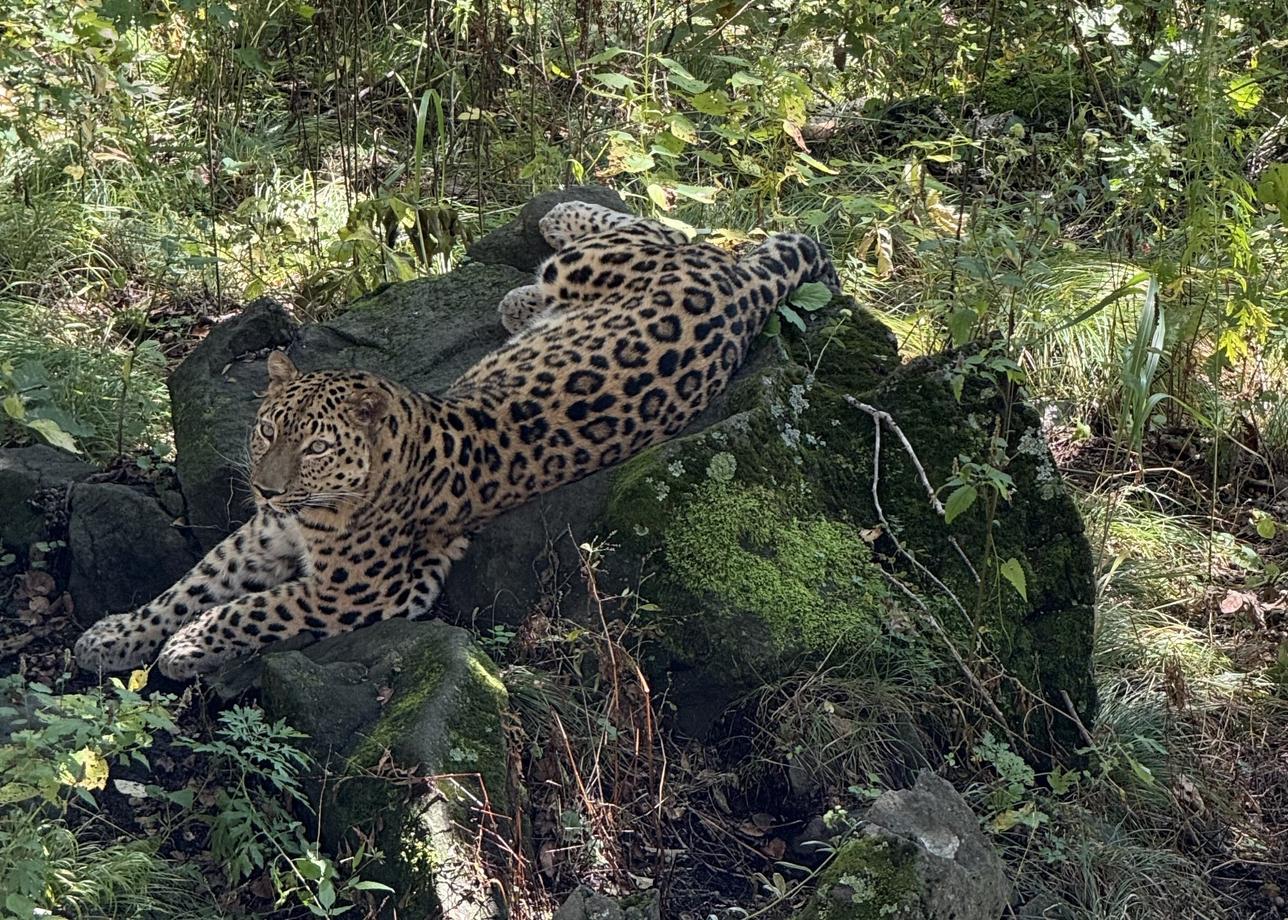 Я очень рада, что выбрала тур с посещением не только Владивостока, но и Находки, так как этот город меня тоже поразил своими пляжами)))