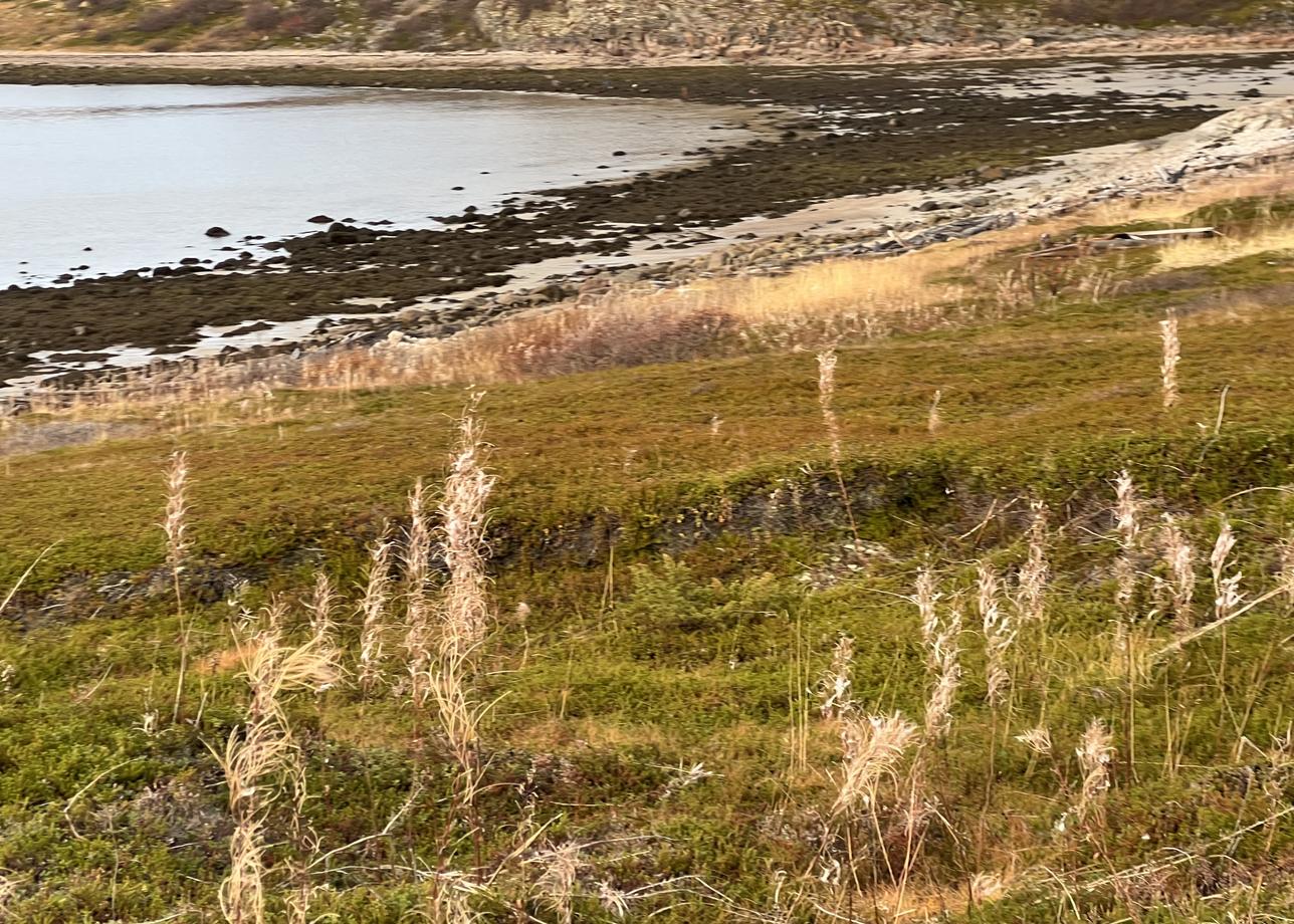 Это было замечательно.)))) Я первый раз ездила в самостоятельный тур, и ни разу не пожалела, что