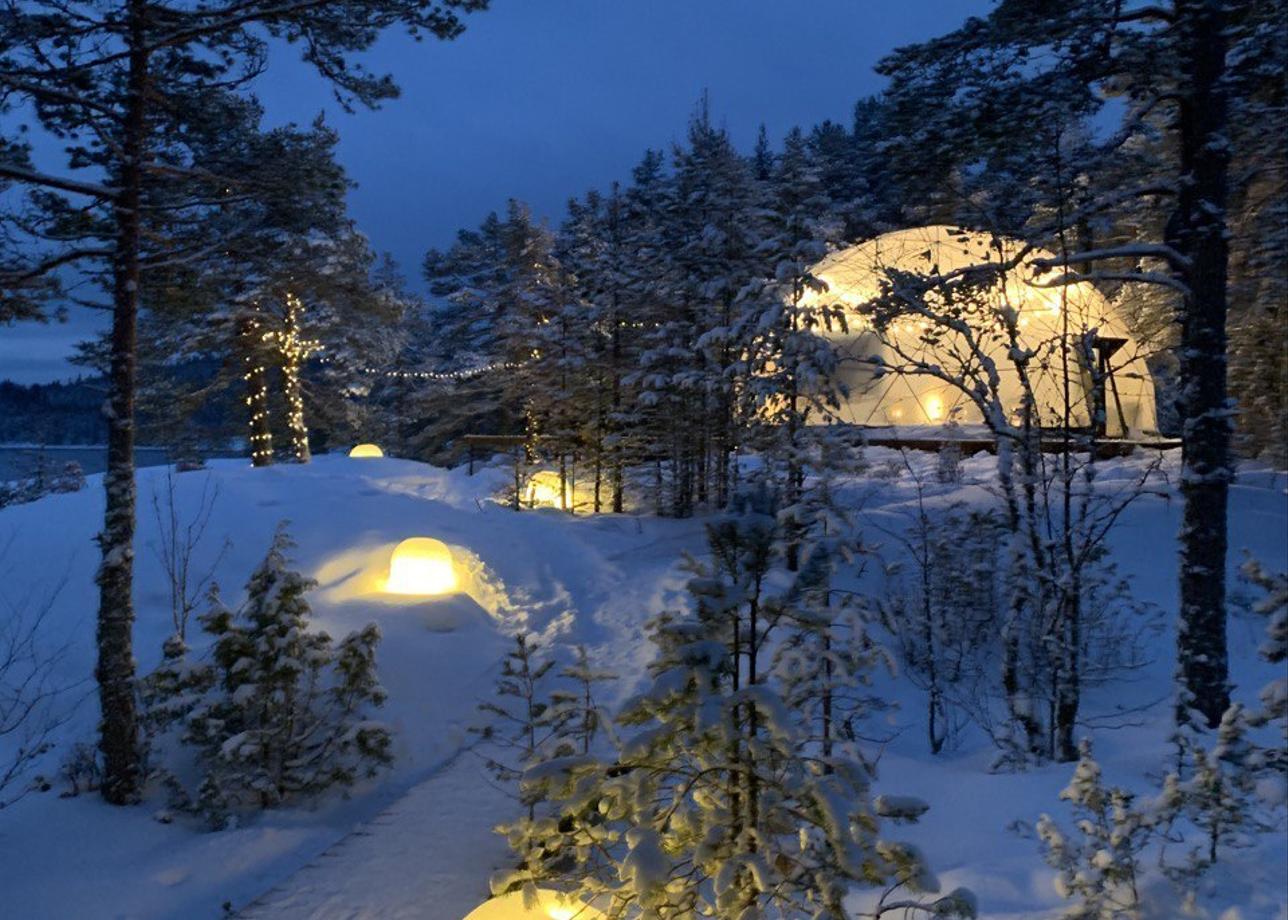 Купольный глэмпинг Lago Ladoga