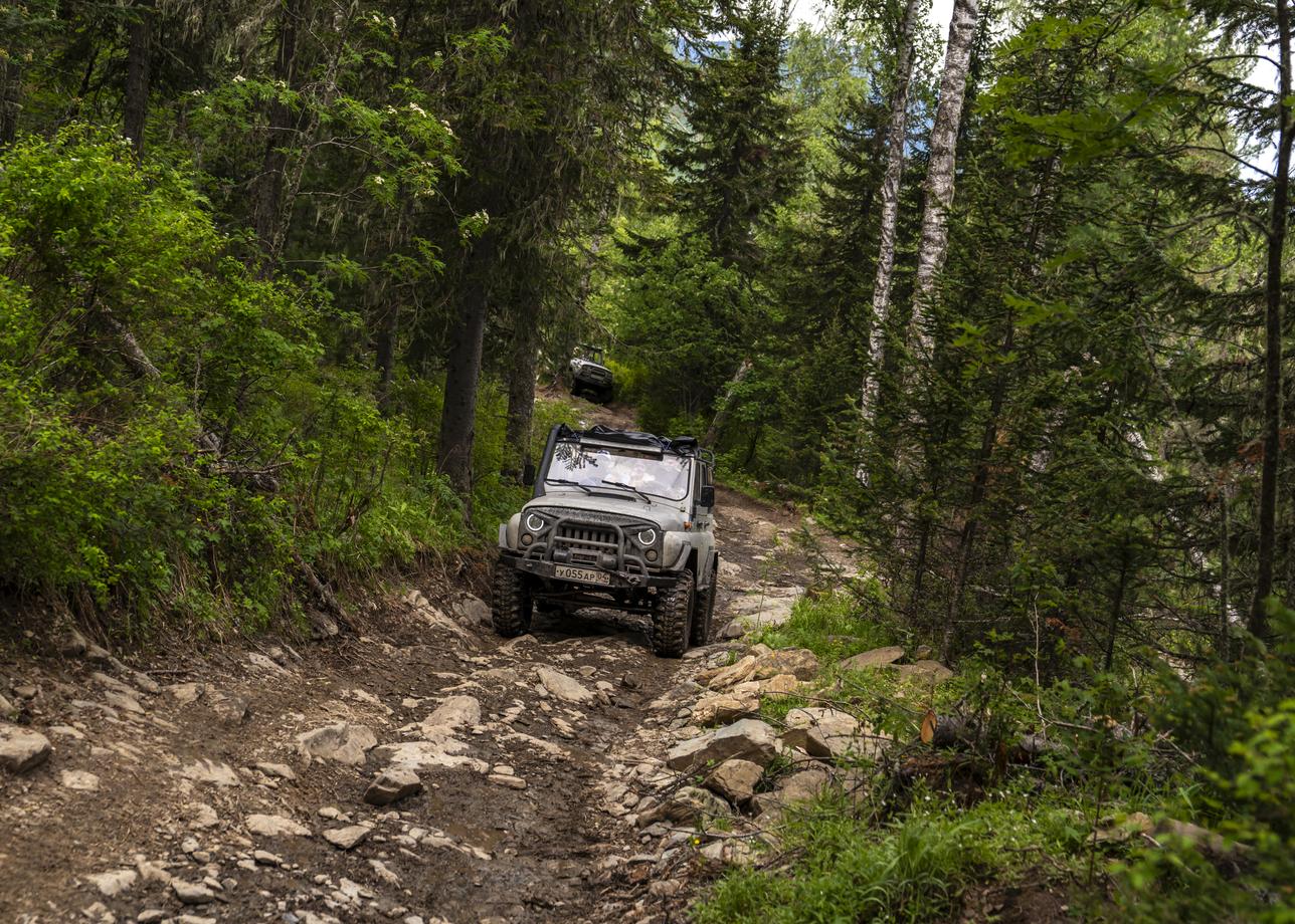 Летние Алтайские выходные