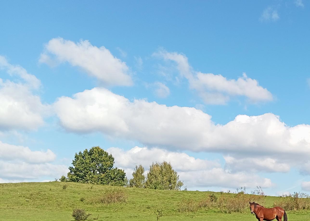 Вернулась из тура уже две недели назад, приходила в себя:) Программа похода составлена хорошо, и даже