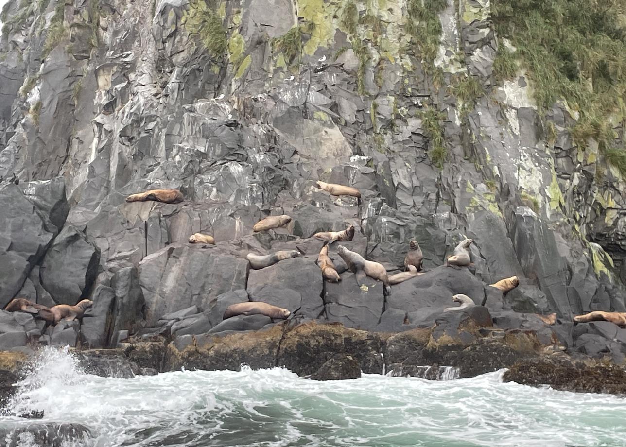 Хочу выразить огромную благодарность всей команде организатора за первое свидание с Камчаткой.