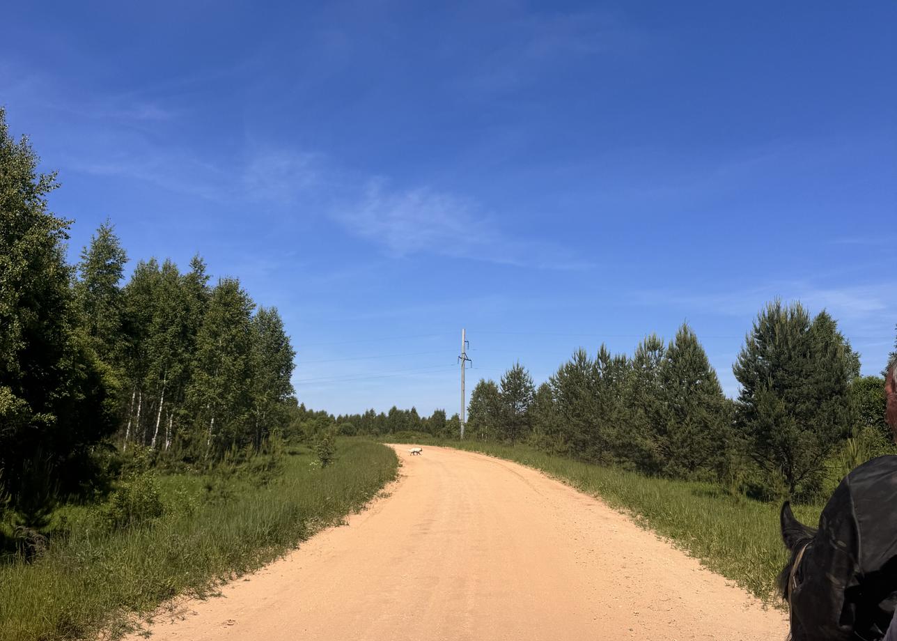 Очень хорошо отдохнули, понравилось все.