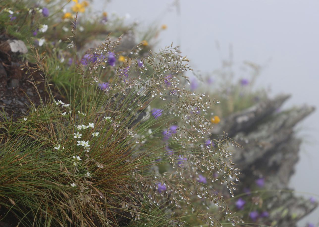 Путь нартов. Осенний экскурсионный тур на Кавказ