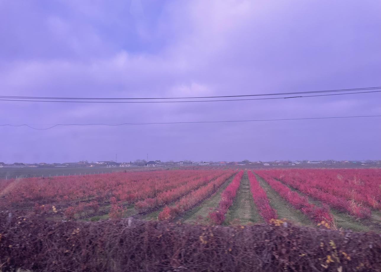 Когда возвратилась домой - было такое ощущение, что не была дома месяц, столько впечатлений за короткое