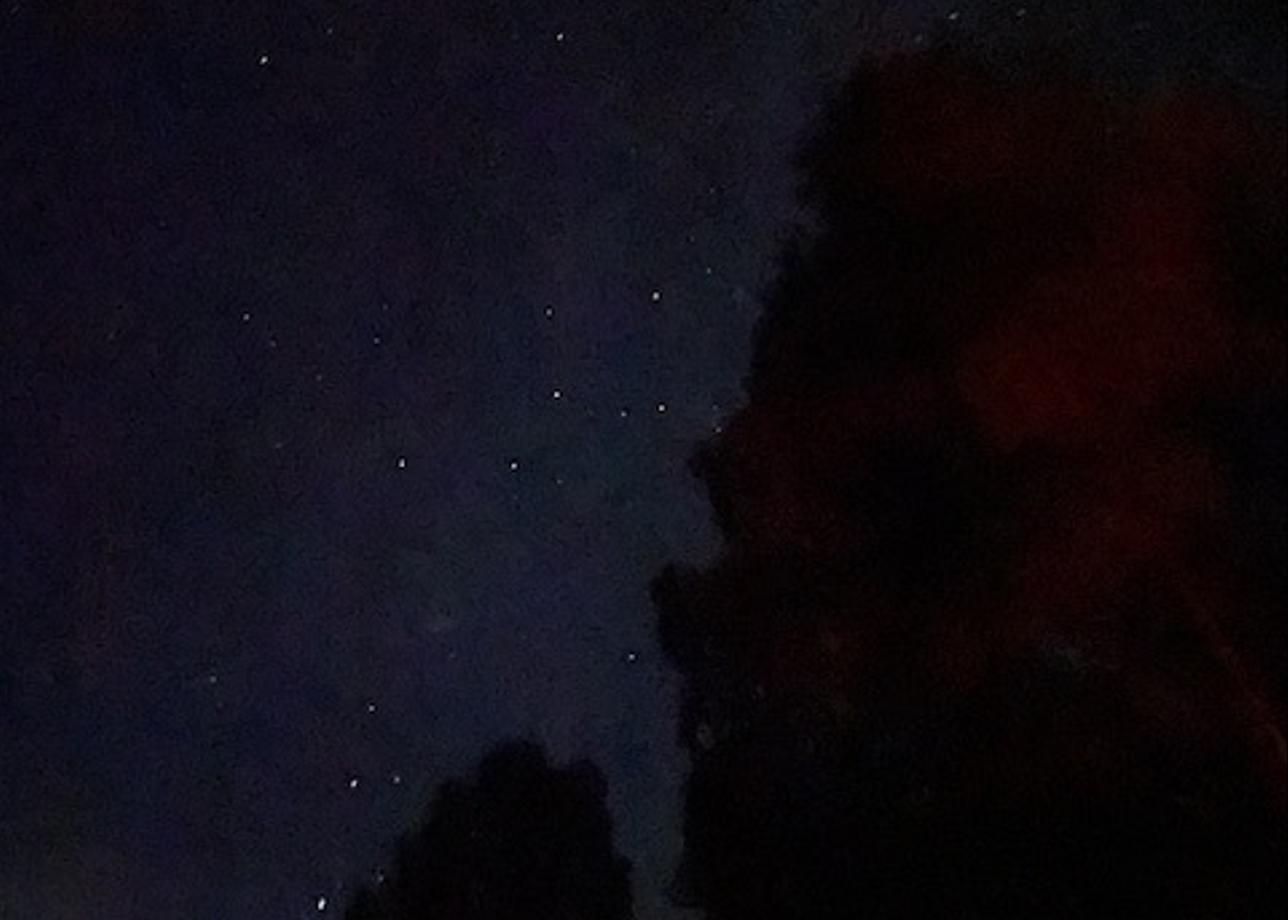 Благодарна за организацию такого вида активного отдыха, всё продумано до мелочей, так как это был мой