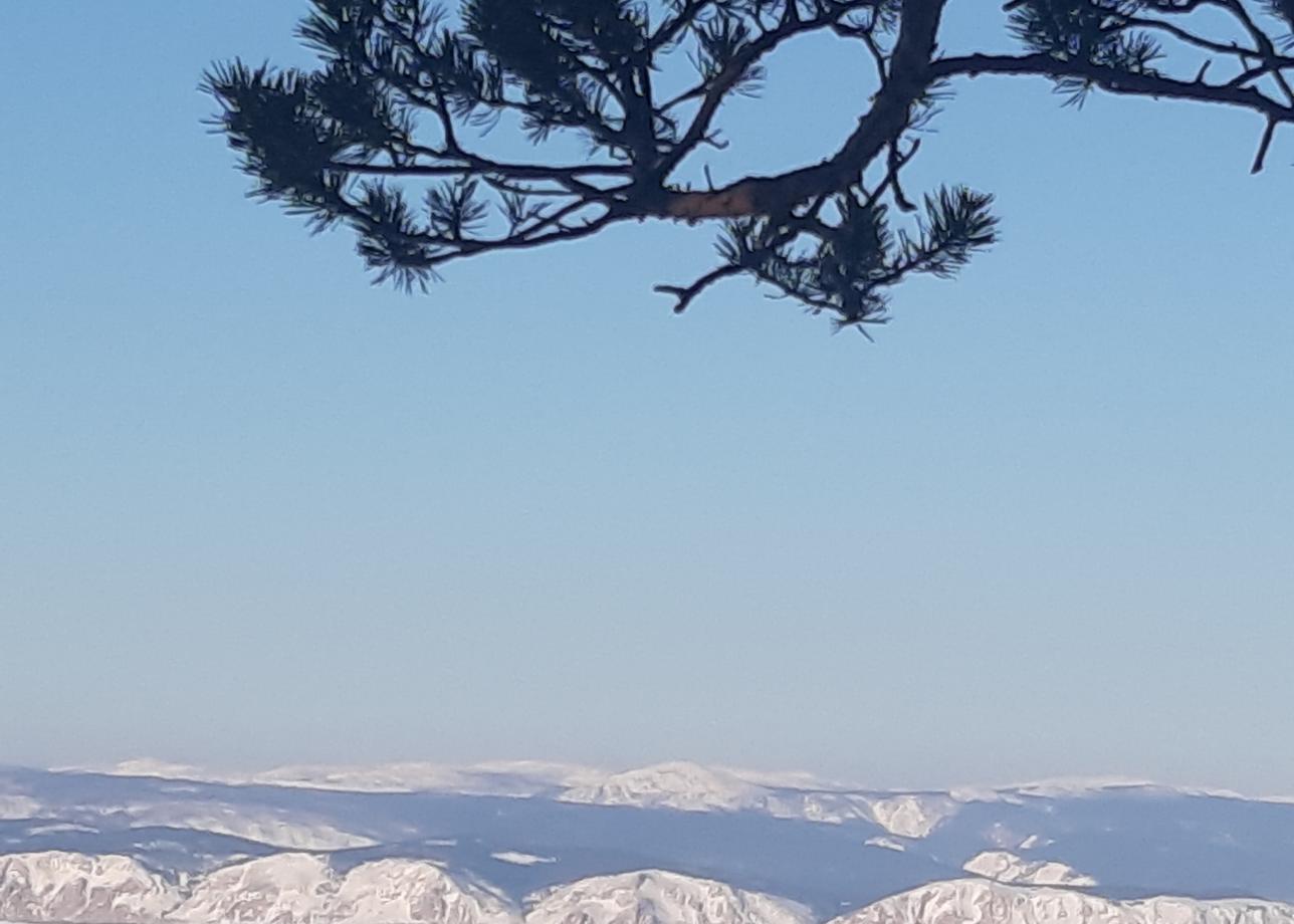 Была на Байкале с 02.01 по 05.01.26 (остров Ольхон). Очень понравился тур. Особая благодарность нашему гиду Леониду и фотографу Рене
