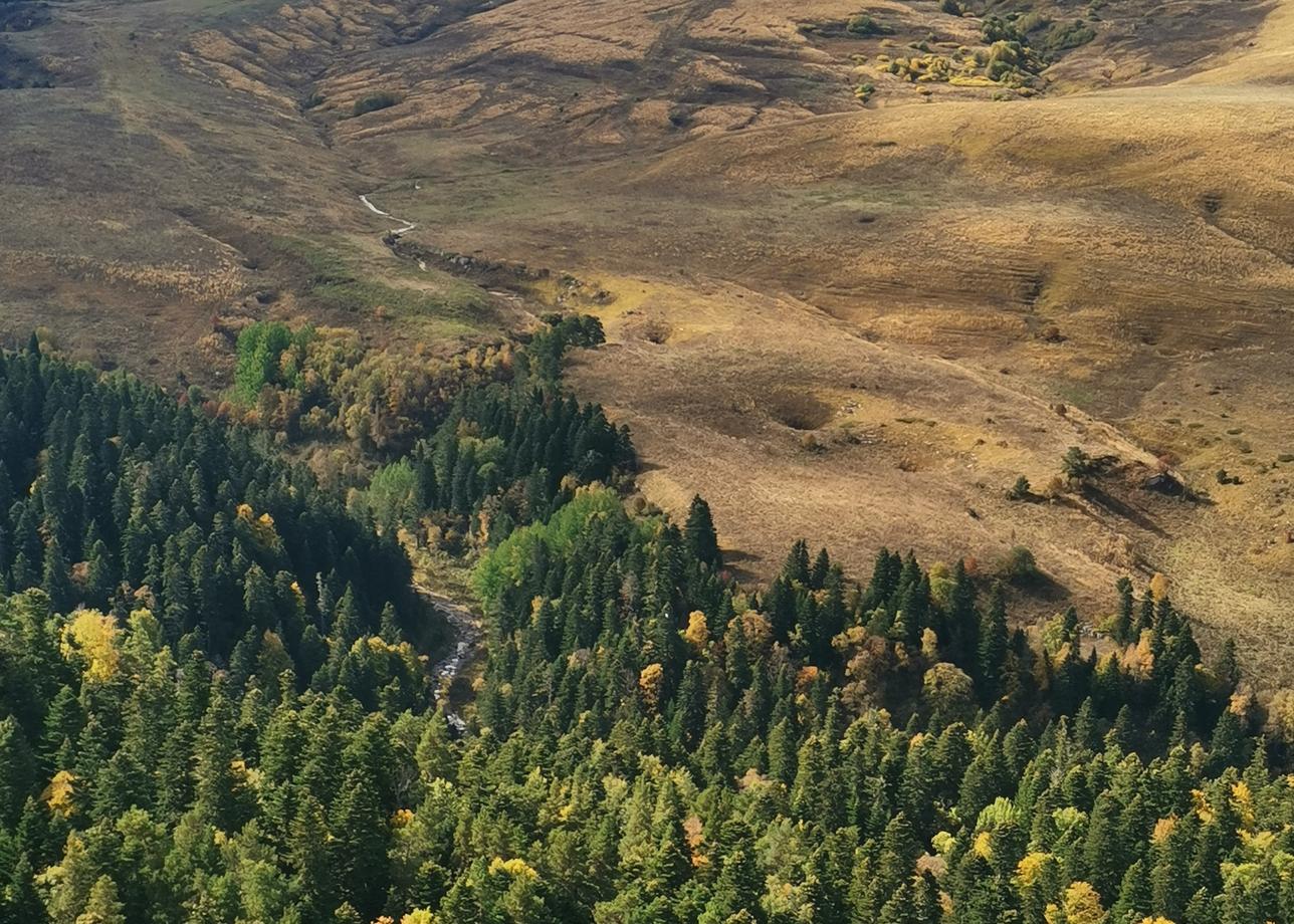 Была в туре "Осеннее очарование гор" с 27.09 по 04.10.25. Организация тура- "от и до". Трансфер