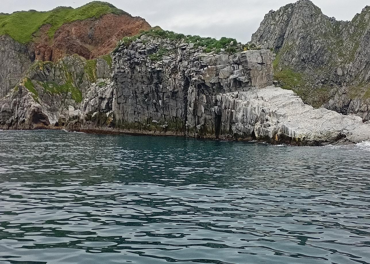 Морская прогулка в бухту Русскую, удалась. Скалы три брата, остров СтАричков, лежбище сивучей, невероятные пейзажи. Посчастливилось