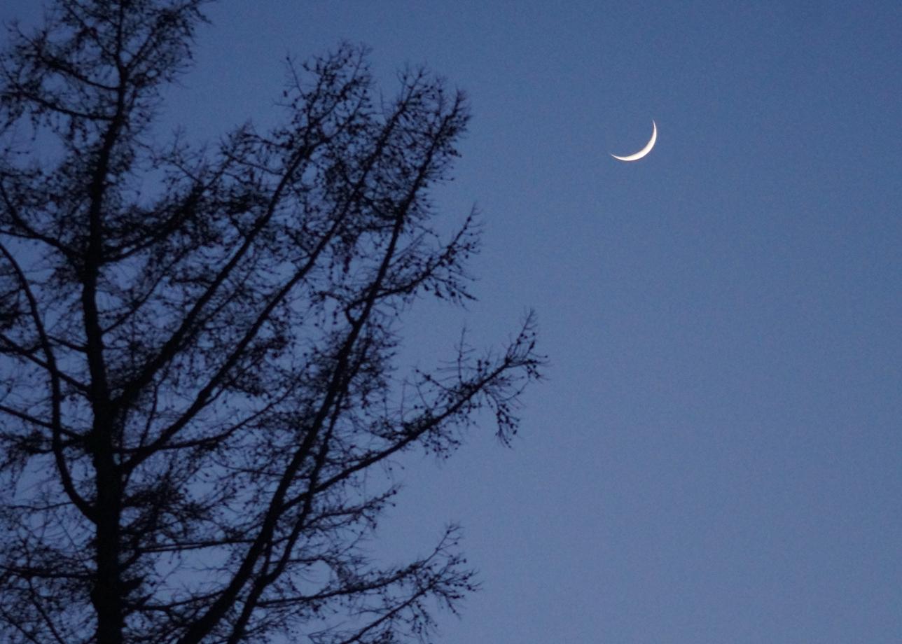 За все время тура у нас было два гида Максим и Дарья