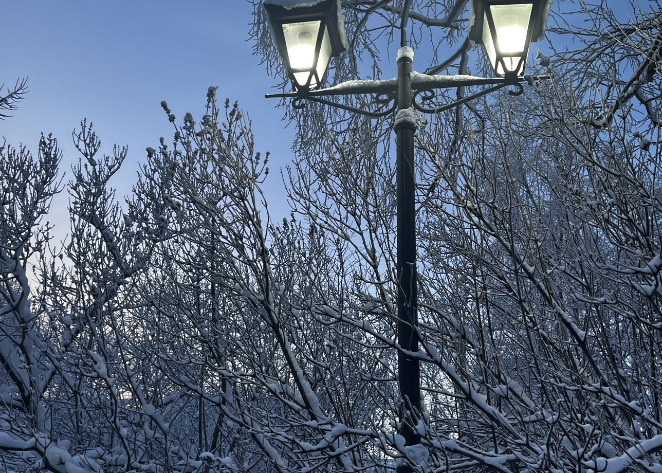 Замечательное путешествие, вкусно, насыщенно, в меру экстремально, номера в отеле прелесть, завтраки тоже. Все насыщенно и ярко