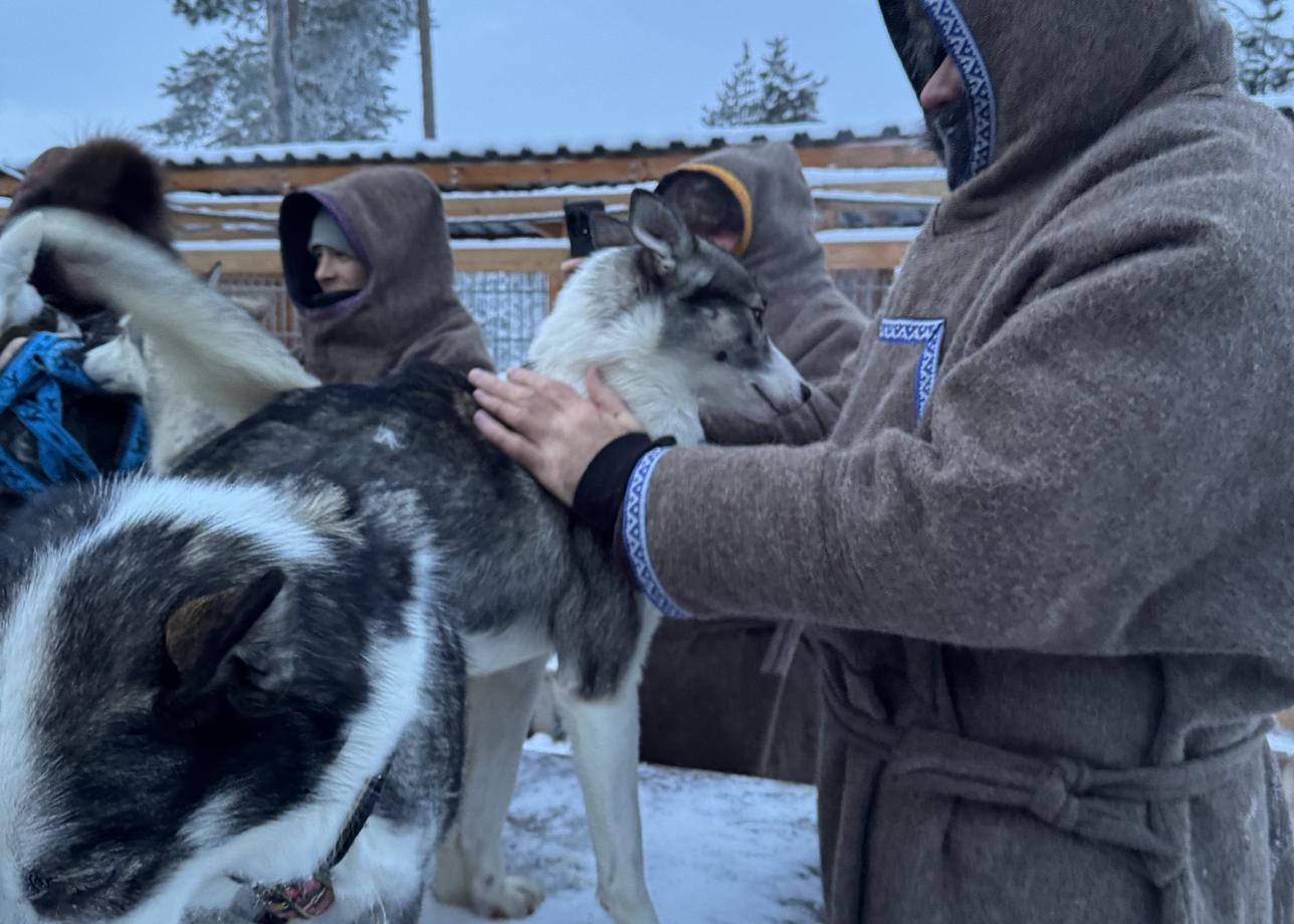 Очень понравилась поездка по Кольскому пол-ву! Повезло во всем: и с погодой, и с северным сиянием